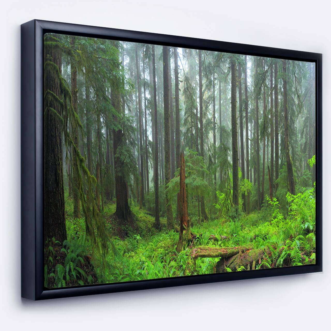 Designart - Hoh Rain Forest - Landscape Photography Framed Canvas Art Print